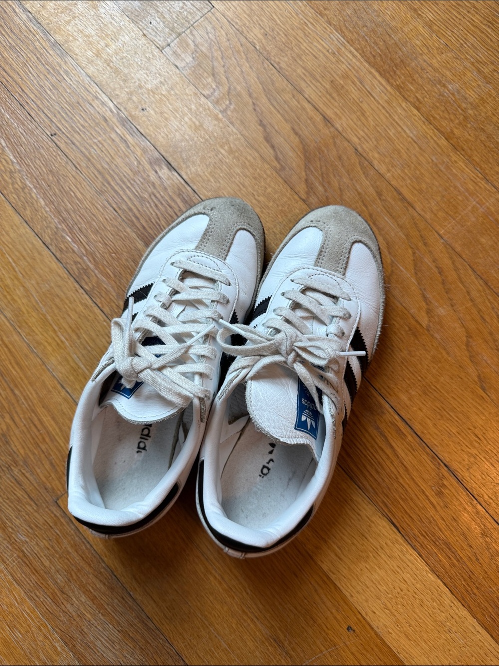 Adidas Classic White and Gray Sneakers